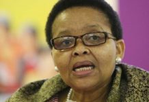 Xenophobic attacks: Create jobs for your citizens – SA High Commissioner to African leaders