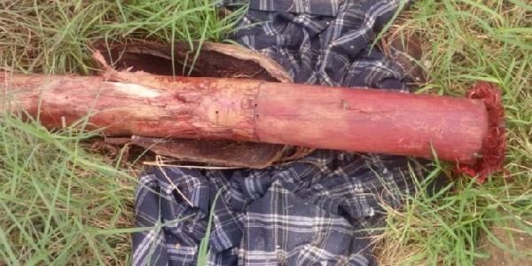 chief-pounded-chopped