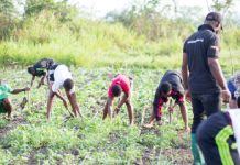 Govt. must increase investment in agriculture – Farmers