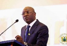 Snake bite deaths on the rise in Karaga District