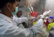 Hong Kong reveals positive test results on covid-19 vaccine