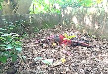 Decomposing body of a pregnant woman discovered near Kumasi parks and gardens