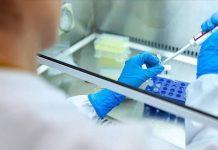 Russia trials COVID-19 vaccine for domestic animals, mink