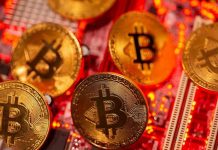 German prosecutors confiscate $60m of bitcoin from fraudster; refuses to ‘vomit’ password