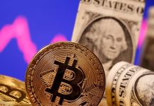 Elon Musk pledges support for crypto amid battle with fiat money