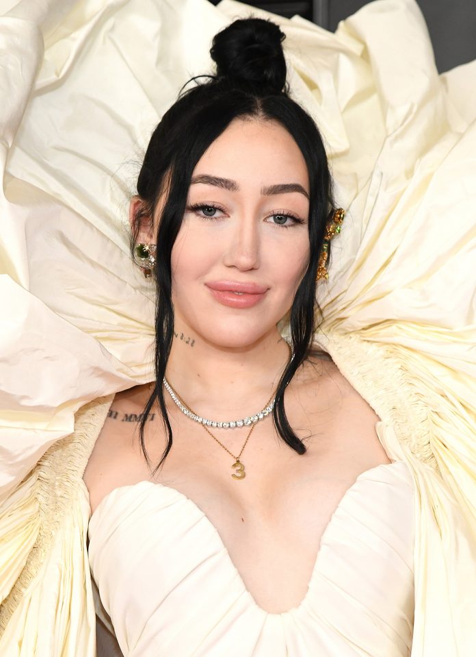 63rd Annual GRAMMY Awards – Arrivals