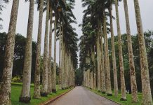 Ghana’s ecotourism contributes $1.2 billion to GDP in 2020