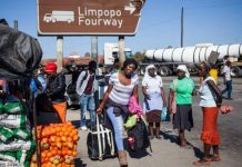 Zimbabwe opens land borders to travelers after long closure