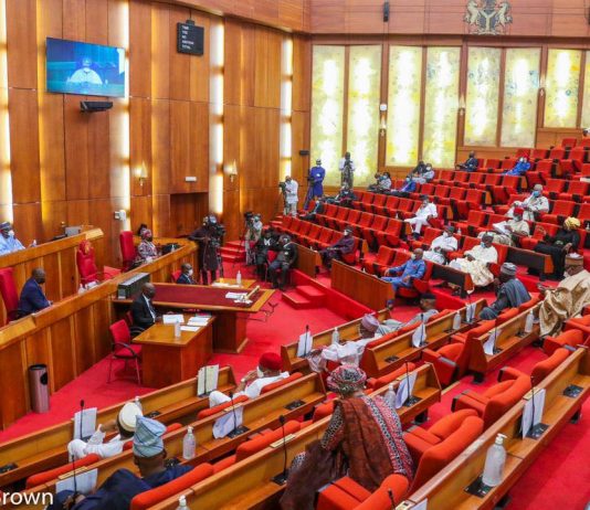 Nigeria’s Senate rejects diaspora vote, throw out special seats for women