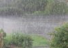 Heavy rain triggers transport disruption on Tema–Accra motorway
