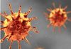 Ministry of Health steps up Ebola surveillance as cases rise in DR Congo, Uganda