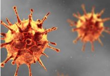 Ministry of Health steps up Ebola surveillance as cases rise in DR Congo, Uganda