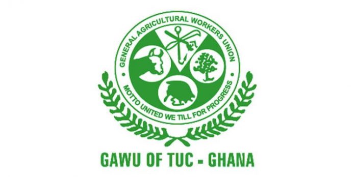 We are not impressed with 2023 budget – GAWU