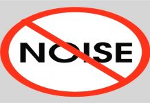 Ga Traditional Council discloses date for ban on noise