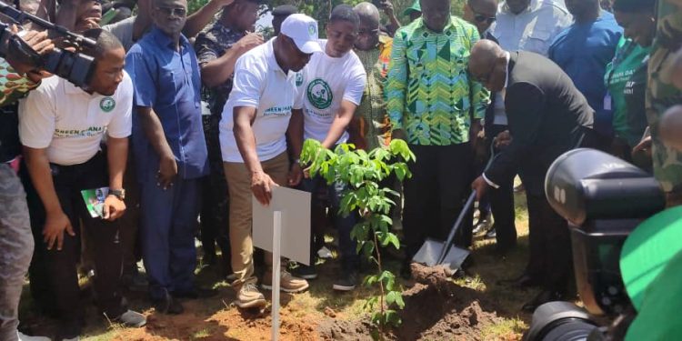 [Climate change wahala]  President Akufo-Addo pledges to protect environment