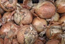 Niger coup sanctions drive Ghana’s onion prices up and also deepen food crisis