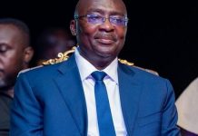 Election 2024: Rodney Nkrumah says NAPO has grassroots appeal to aid Dr. Bawumia win