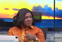 Suspicious flights: Ex deputy CEO, Akosua Manu  says Kwakye Ofosu told barefaced lies
