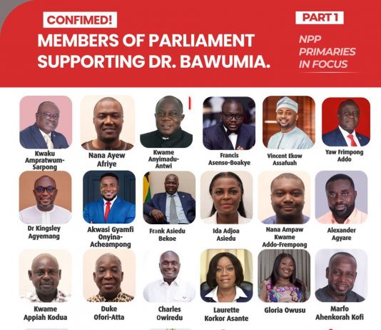 NPP Flagbearer race: 63 Minority MPs in Parliament declare support for Bawumia