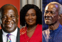 Prof. Jane Naana,Kwame Pianim, Sam Jonah among 12 appointed to Presidential Economic Advisory Group