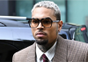 US singer Chris Brown ordered to pay housekeeper $13m after dog attack