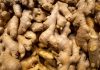 Ginger prices more than double as transport, housing offset food relief