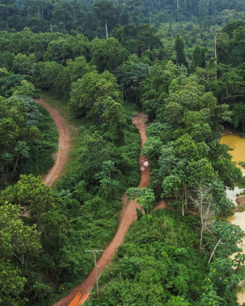 NAIMOS, Security Agencies Arrest Suspected Illegal Miners in Forest Reserve
