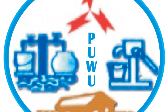 Public Utilities Workers Union opposes private sector participation in ECG, NEDCo operations