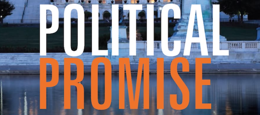 Political Promises vs. Reality: What should citizens expect from government